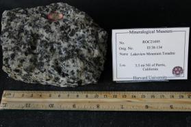 Lakeview Mountain Tonalite