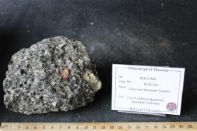 Lakeview Mountain Tonalite