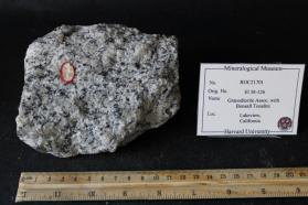 Granodiorite Associated with Bonsall