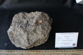 Aguanga tonalite