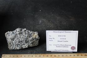 Lakeview Mountain Tonalite