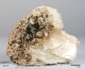 Tourmaline Group