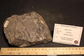 Paleozoic Schist