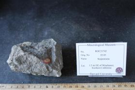 Serpentinite