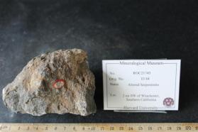 Altered Serpentinite