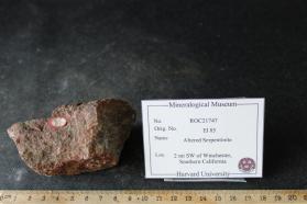 Altered Serpentinite