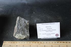 Nodular Norite of the San Marcos Gabbro