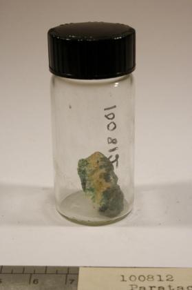 Paratacamite