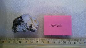 Matulaite