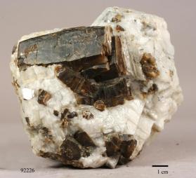 Phlogopite