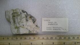 BERYL