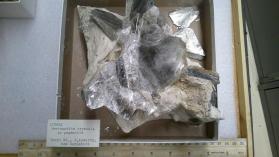 Bertrandite