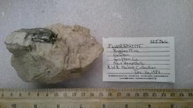 FLUORAPATITE