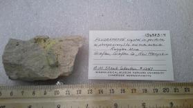 FLUORAPATITE