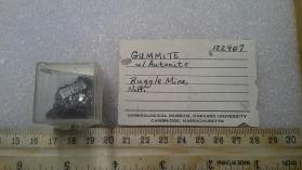 Gummite (general Term)