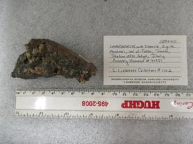 LABRADORITE