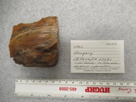 wood opal