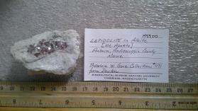 Lepidolite in Albite