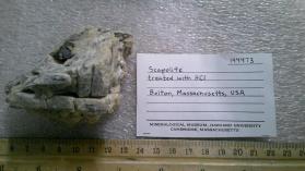 Scapolite