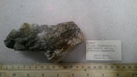 SCHORL