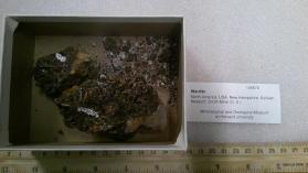 Wardite