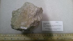 Pegmatite with tiny Xls