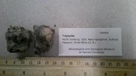 Triphylite