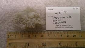 Tunellite