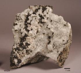 Bornite