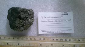 Pyrite with Chalcopyrite