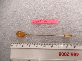 Amber Pin