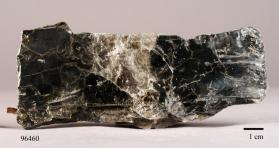 Biotite with Muscovite