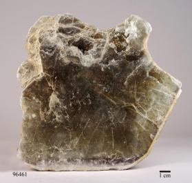 Muscovite