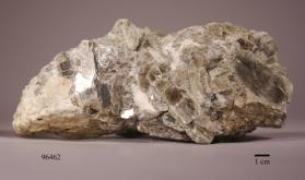 Muscovite