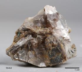 Muscovite