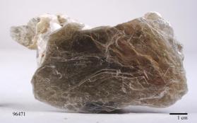 Muscovite