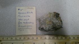 Muscovite, lepidomelane, pyrite