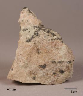 BUSTAMITE