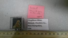 Zircon xl