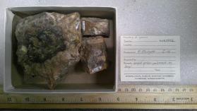 Bright yellow pulverant on beryl