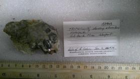 Triphyllite
