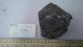 Gadolinite-(Y)