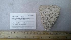 CALCITE