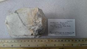 MICROCLINE