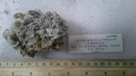 Leifite with Polylithionite