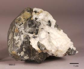 Hornblende