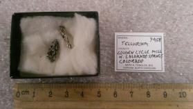 Tellurium (2 pieces)