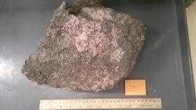 Biotite