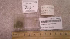 Iridium (2 pieces in vial)