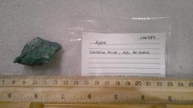 Ajoite with SHATTUCKITE